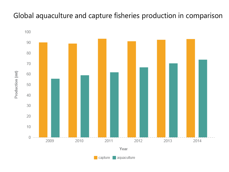 Global aquaculture and capture fisheries production in comparison
