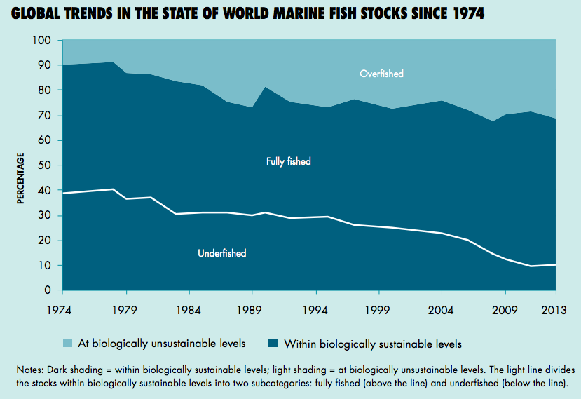 Global trends in the state of world marine fish stocks