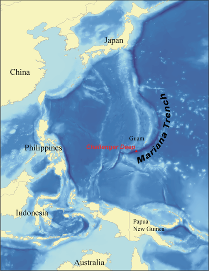 The world’s deepest trenches are found in the western Pacific Ocean