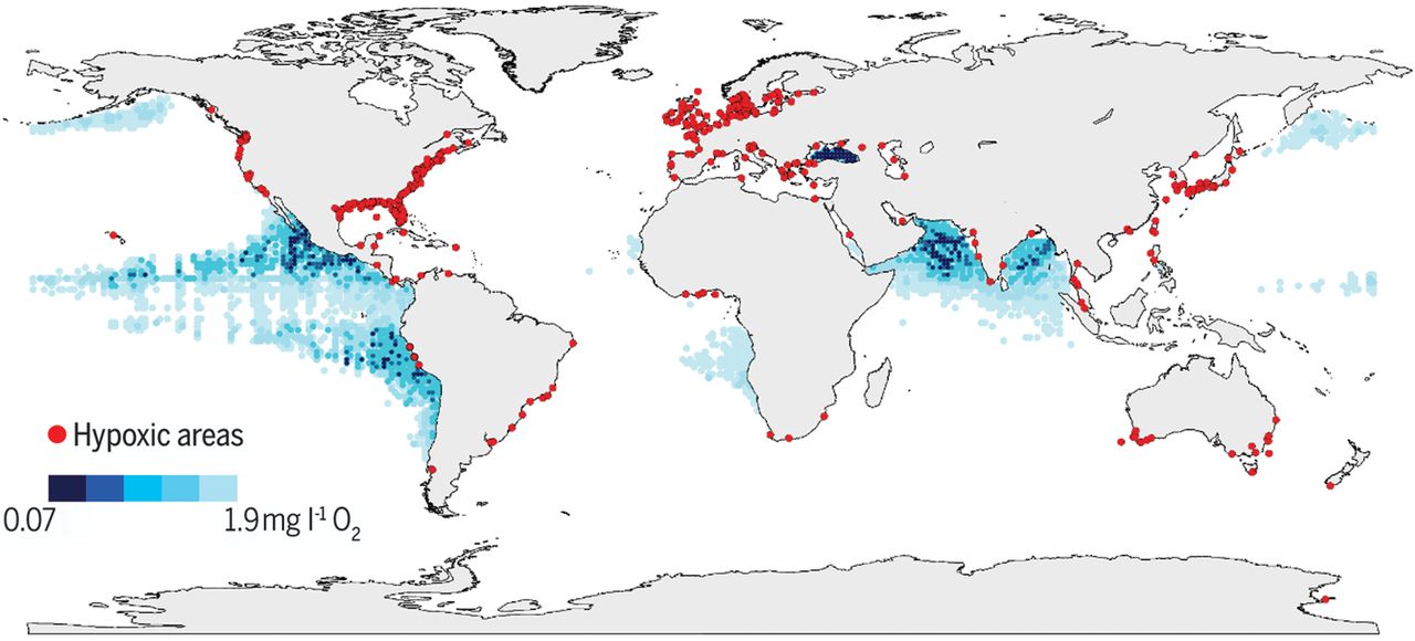 全球范围的沿海地区（红点）由人为营养物质加剧导致氧含量下降出现低氧气区（Hypoxic areas）来源: Breitberg et al. Science 2018