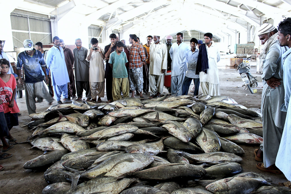 Fishermen looking at fishing in Gwadar port
