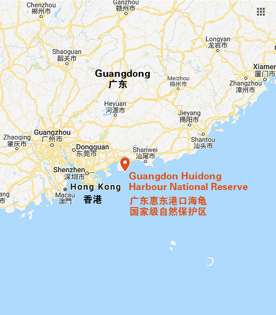 广东惠东港口海龟国家级自然保护区