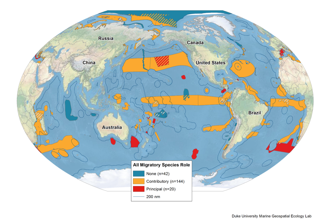 根据杜克大学教授Patrick Halpin的研究，全球的重要的生态和生物多样性区域有近10%完全在公共海域，超过20%的区域部分位于国际海域。图中红色（10%）为迁徙物种最重要的栖息地或补给站；黄色区域（70%）为迁徙物种有关的区域；深蓝色为无关区域。来源：Duke University Marine Geospatial Ecology Lab