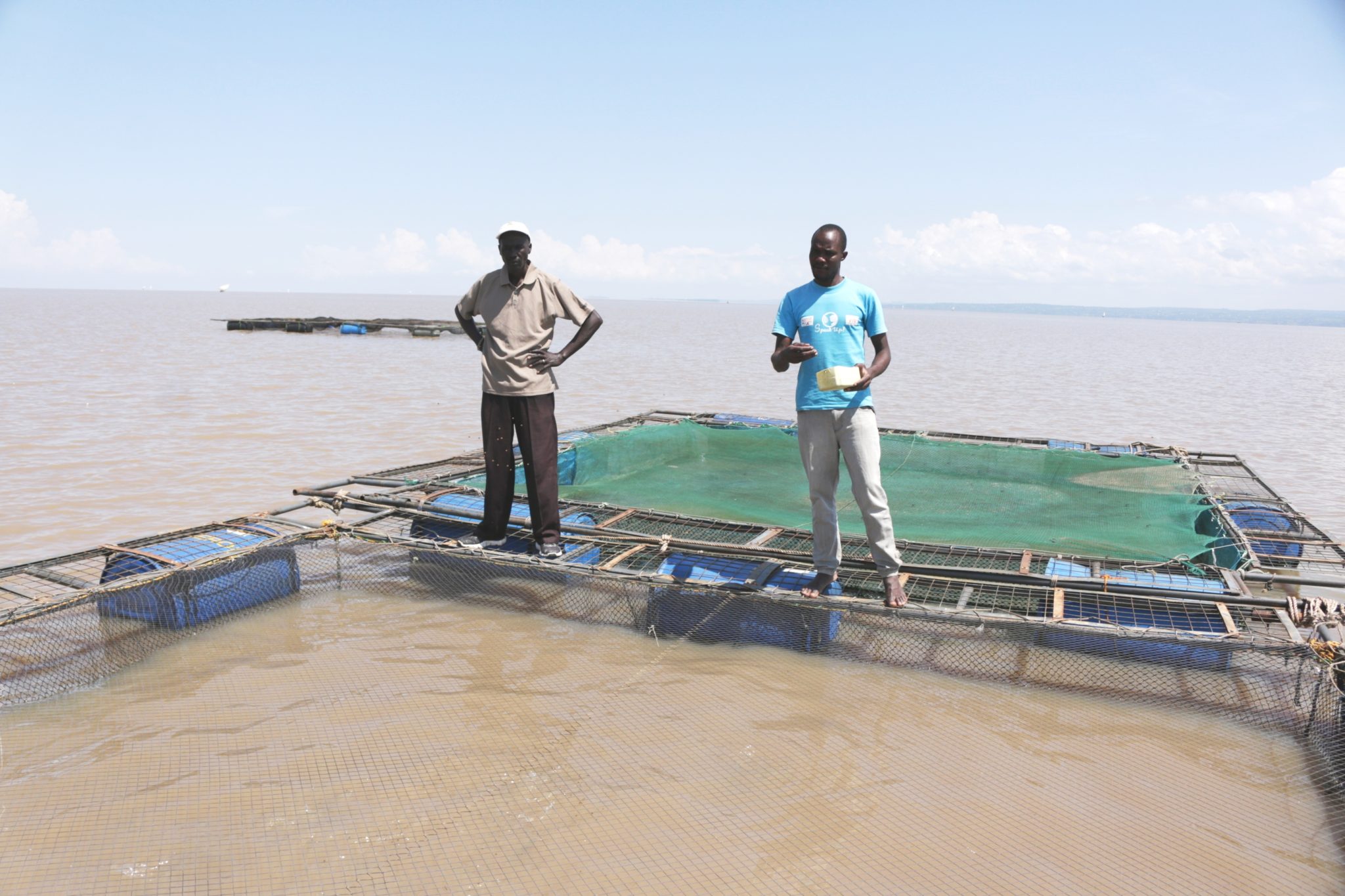 Farmer at fish cage in Lake Victoria