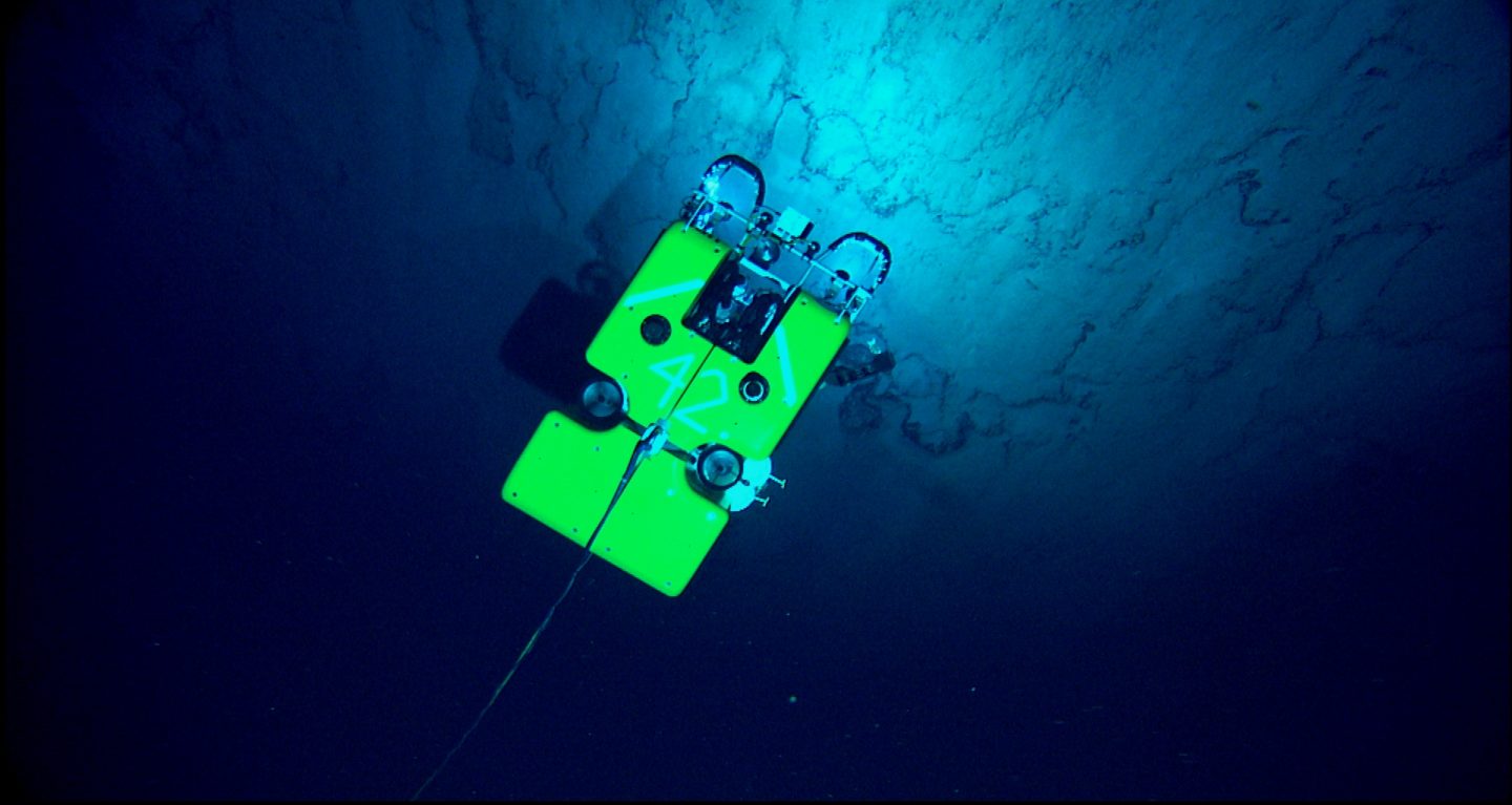 The Remotely Operated Vehicle (ROV) Hercules searches for deep ocean fauna.