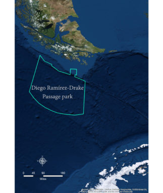 这个公园同时覆盖了美洲大陆架最南端迭戈·拉米雷斯群岛地区的陆地和海洋。此外，这个公园也为德雷克海峡的水下陆崖提供了法律保护，这其中就包括南美和南极洲之间最大的水下山脉萨尔斯山，其从海底到海面的海拔落差高达4000米。（图片：奥马尔·巴罗佐（Omar Barroso））