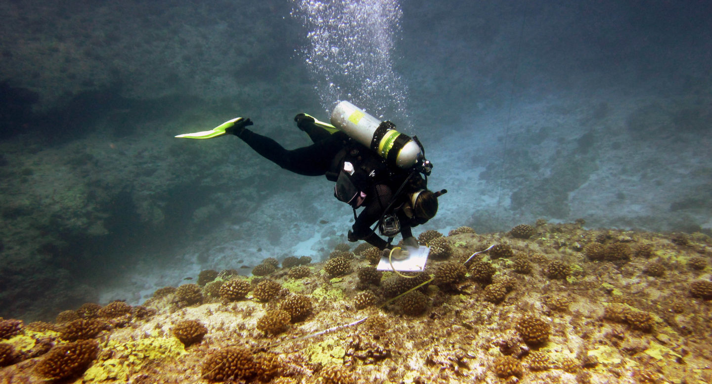  Reef assessment and monitoring in Papahānaumokuākea Marine National Monument, one of several marine protected areas
