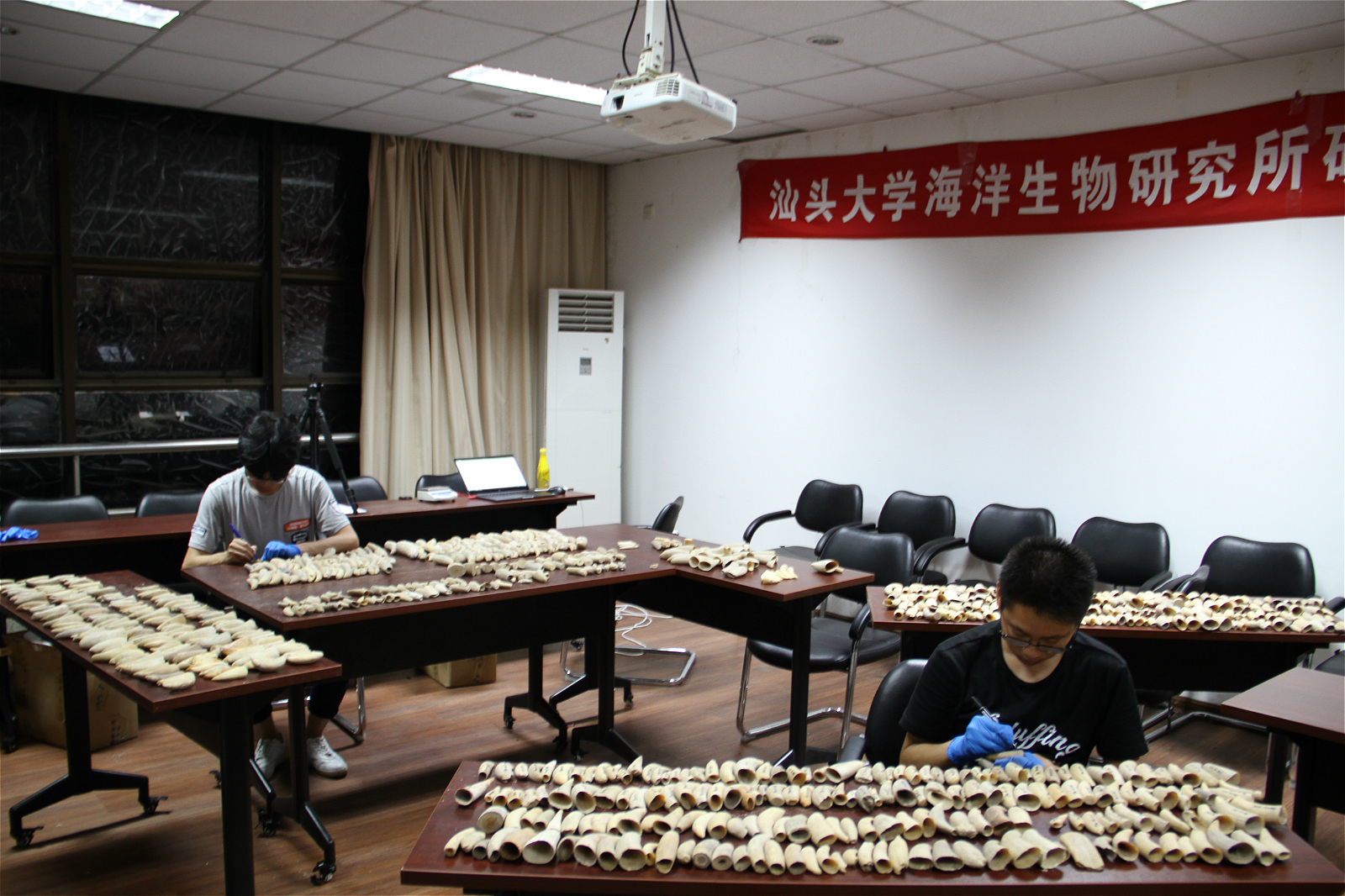 Shantou University researchers identifying smuggled endangered species.