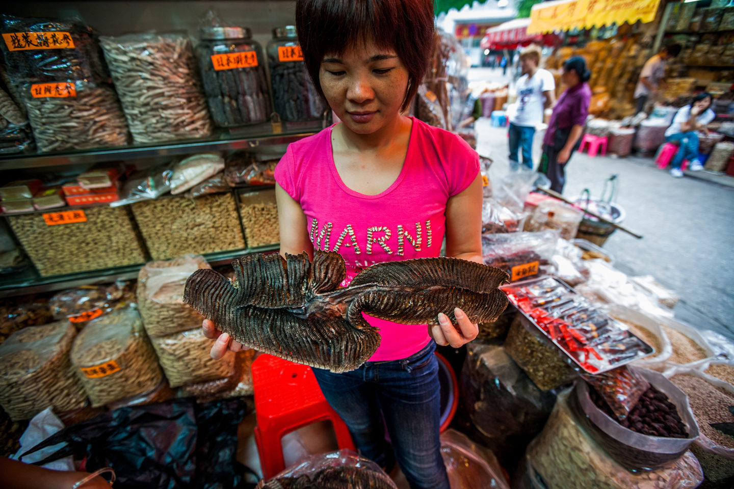 A Chinese traditional medicine seller holds up a manta ray gill