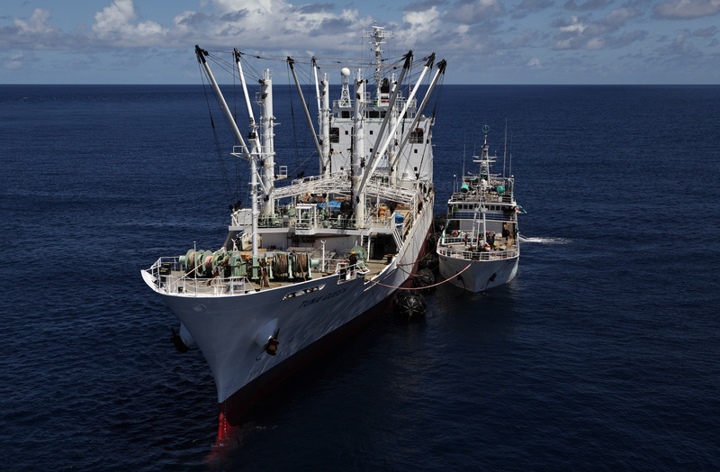 Transshipment in the Indian Ocean. Written by Global fishing watch CEO