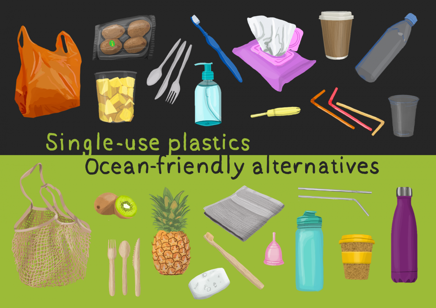 Single-use plastic products versus ocean-friendly alternatives, illustration Mary Flora Hart