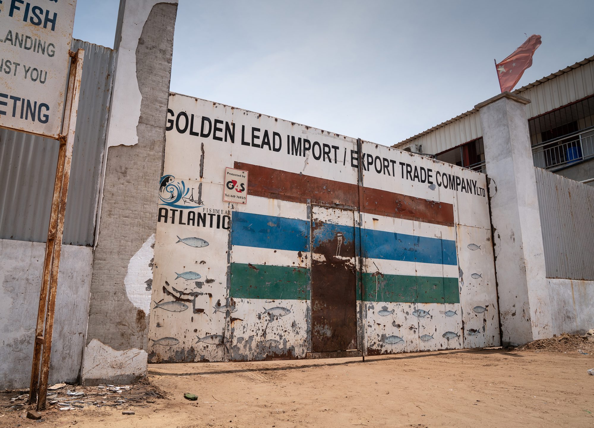 The Golden Lead in Gunjur is one of three Chinese-owned fishmeal factories operating along the Gambia’s short coastline (Image: The Changing Markets Foundation)