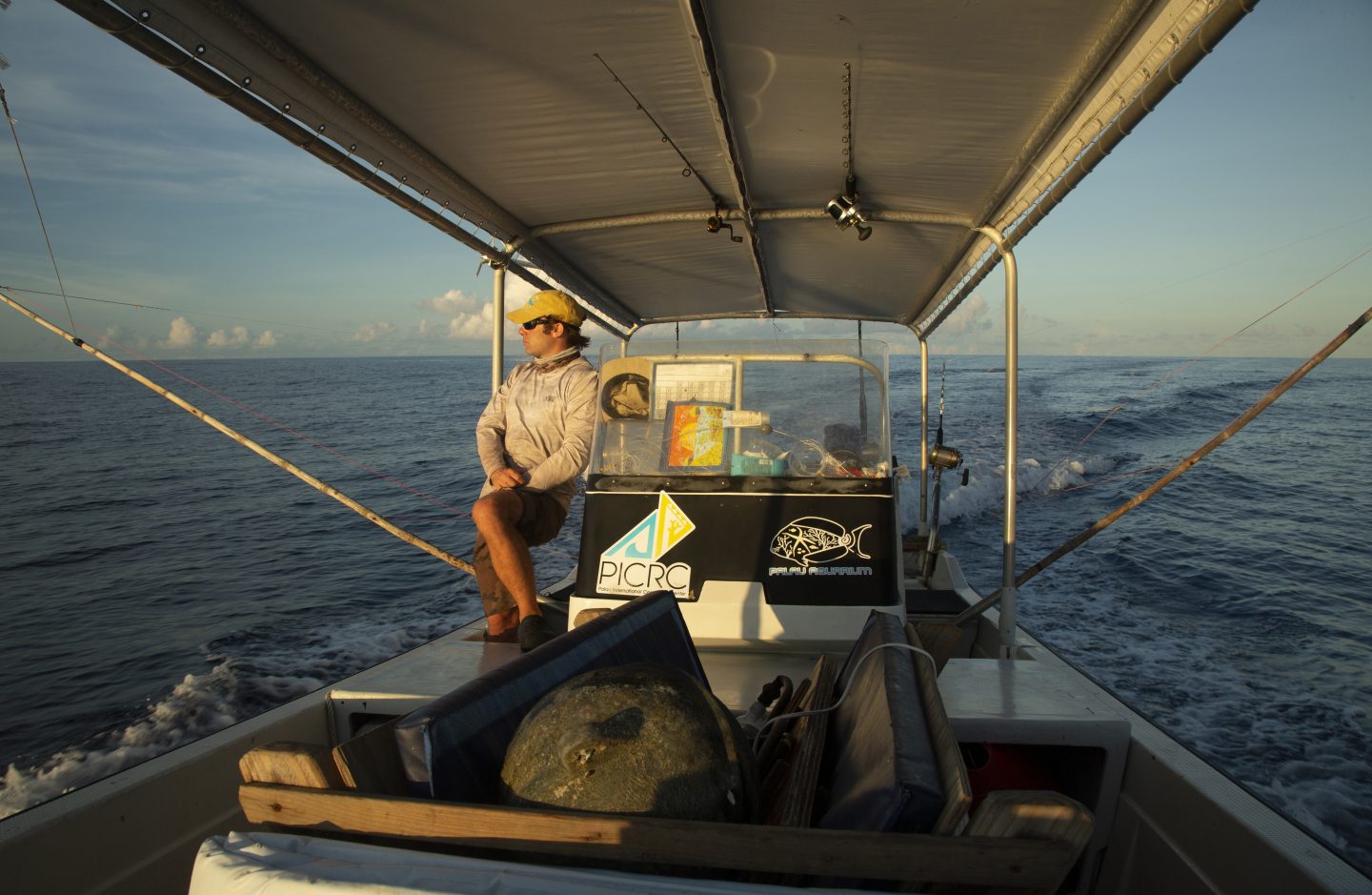 Fisheries biologist Dr Alexander Filous heading home after a day of tuna tagging