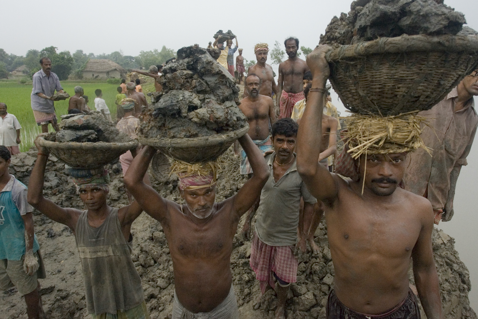 Workers Building a Dike to protect from sea level rise in the Sundarbans Region