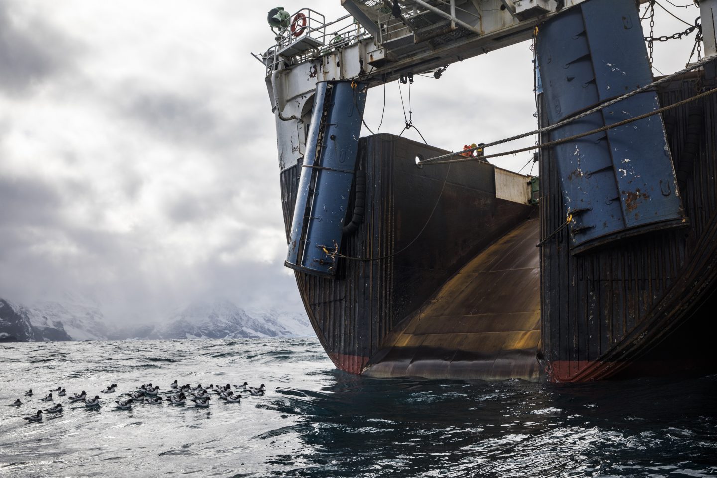 A krill fishing vessel off the South Orkney Islands in Antarctica