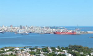 <p>Montevideo is the second most visited port by undeclared fishing vessels in the world. (Image: Florencia Lay)</p>