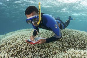 <p><span data-sheets-value="{&quot;1&quot;:2,&quot;2&quot;:&quot;David Obura documenting the health of coral reefs while diving off the coast of Madagascar (Image: Keith Ellenbogen)&quot;}">David Obura documenting the health of coral reefs while diving off the coast of Madagascar. </span>(Image: Keith Ellenbogen)</p>