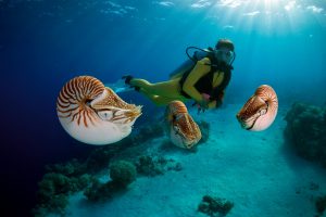 <p>Around 20% of Palau&#8217;s workforce is employed in the tourism sector. (Image: <span id="automationNormalName">J.W.Alker</span> / Alamy)</p>