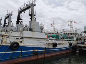 <p>三艘属于深圳浩航远洋渔业有限公司的渔船停靠在蒙罗维亚港。图片来源：匿名提供</p>