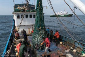 <p>中国渔船Yi Feng 08号因涉嫌标记不明被几内亚比绍渔业部门扣押。图片来源：<a href="https://media.greenpeace.org/archive/Arrest-of-Chinese-Fishing-Vessel-in-Guinea-Bissau-27MZIFJJ7PTG1.html">Pierre Gleizes / Greenpeace</a></p>