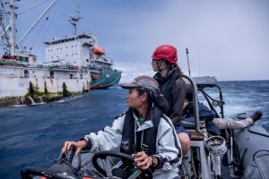 <blockquote><p>Fishery observers monitoring the transfer of catch in 2019. Covid restrictions have since prevented many observers from doing their jobs (Image © Tommy Trenchard / Greenpeace)</p></blockquote>