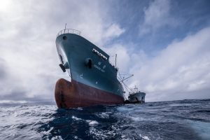 <p>Transshipment: frozen tuna are transferred from the <em>Hung Hwa 202</em> to the <em>Hsiang Hao</em>, a Panama-flagged reefer operating out of Tokyo, Japan, in the middle of the Atlantic (Image © Tommy Trenchard / Greenpeace)</p>