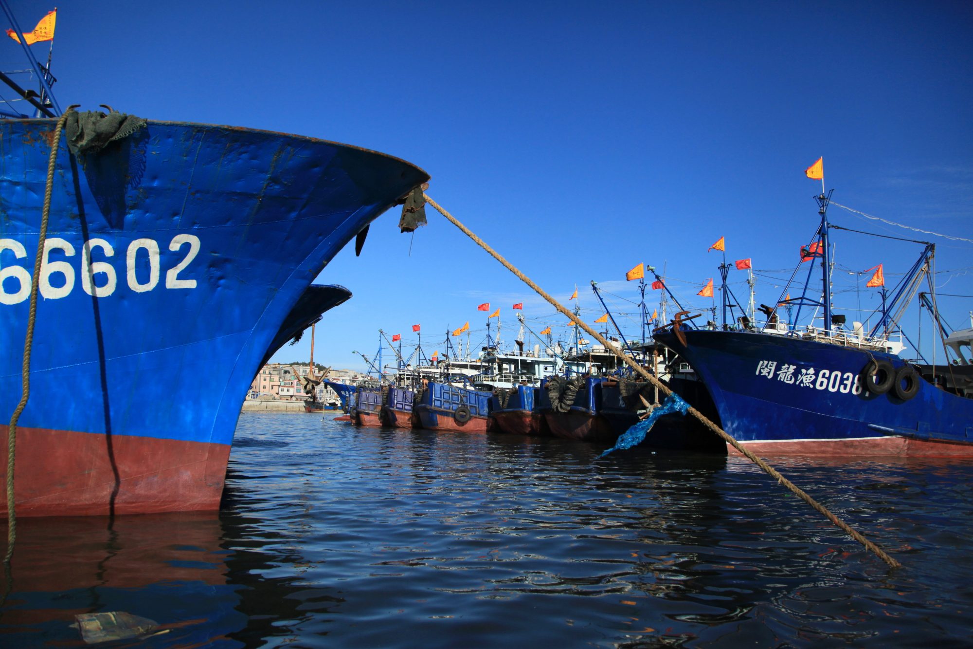 No fish, lower subsidies – where next for China's coastal fishers? | China  Dialogue Ocean