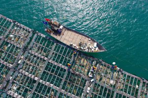 <p>Since 2017, local authorities in Fujian province have devoted efforts to regularly clear the floating garbage along the seashore (Image: Alamy)</p>
