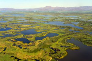 <p>South America&#8217;s Pantanal, the world&#8217;s largest tropical wetland. (Image © José Sabino/Wetlands International)</p>