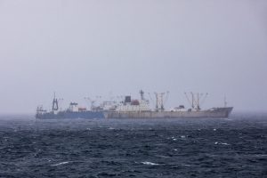 <p>A Russian-owned reefer takes on a cargo of krill from a fishing vessel in rough Antarctic waters (Image © Andrew McConnell / Greenpeace)</p>