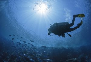 <p>The ocean is the world&#8217;s largest ecosystem and could lose many of its species because of global warming. Image: <a href="http://www.thinkstockphotos.com/image/stock-photo-diver-swims-in-a-red-sea/512617924">kanarys/ Thinkstock </a></p>