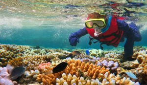 <p>(Image: <a href="http://www.thinkstockphotos.co.uk/image/stock-photo-child-snorkeling-in-great-barrier-reef/610660400">chameleonseye</a>）</p>