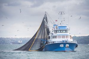 <p>（Image: <a id="photographer" href="http://www.thinkstockphotos.co.uk/image/stock-photo-fishing-trawler/649765276/popup?src=history" data-close-and-redirect="true" data-search-link="Photographer">taylanibrahim</a>）</p>