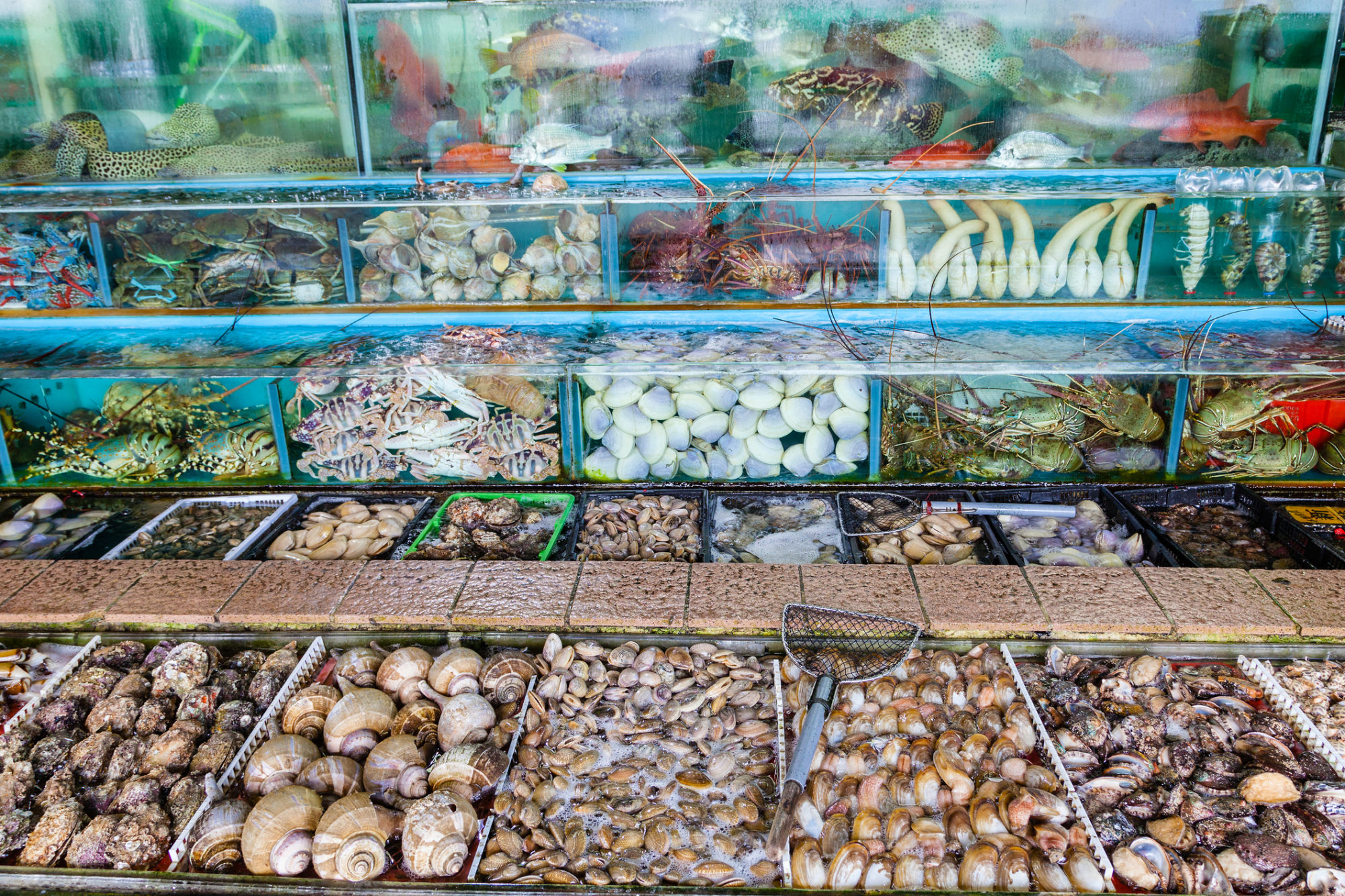 香港西贡的海鲜市场