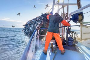<p>&#8216;Harmful&#8217; fishing subsidies make it more profitable for fishing vessels to spend longer at sea, driving unsustainable fishing practices. (Image: Alamy)</p>