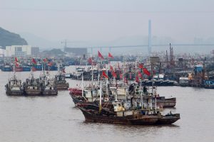 <p>Fishing vessels in Zhoushan (Image: Alamy)</p>
