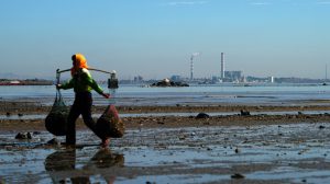 <p>Fish farms have been shut down following the release of chemicals in November from an industrial zone in Quanzhou, Fujian province (Image: Li Changsen)</p>