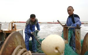 <p>Fishermen Wang Zhongjiao and Lin Taidao tidy up their finishing gear as they return from the sea.</p>