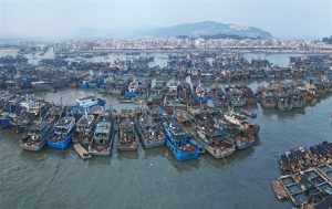 <p>Fishing vessels moored in the port of Zhangzhou, Fujian Province, 31 July 2014. (Image by <a href="http://www.greenpeace.org/eastasia/news/blog/5-problems-with-chinas-distant-water-fishing-/blog/57210/" target="_blank" rel="noopener">Wen Wenyu / Greenpeace</a>)</p>