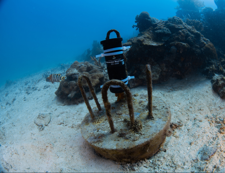 A blast detector installed by non-profit group The Reef Defenders to prevent fish bombing