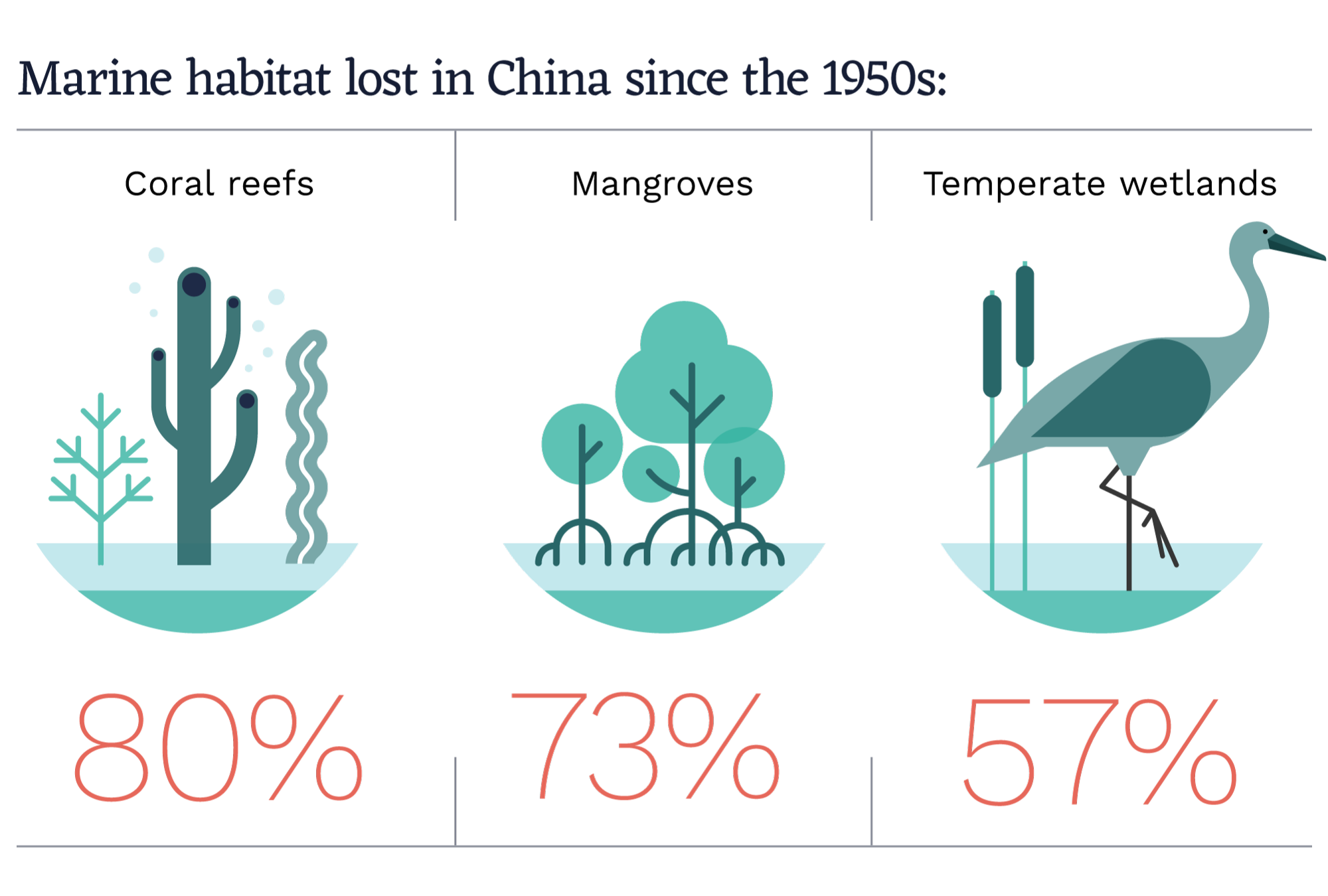 marine habitats lost in china since the 1950s