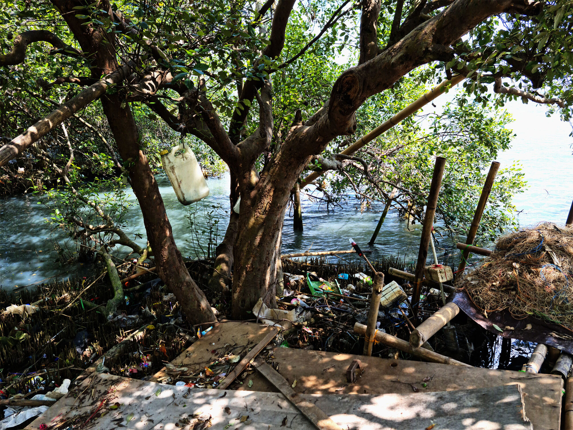 Plastic waste deposited in a mangrove reserve on Jakarta’s coast