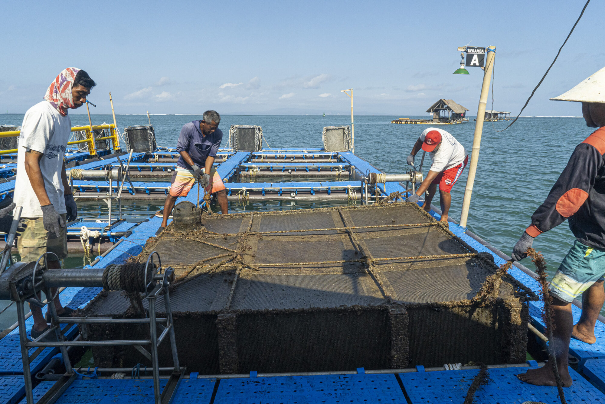 Indonesia fisheries: Workers on a floating farm near the village of Serangan in Bali winch up a lobster cage for cleaning and feeding
