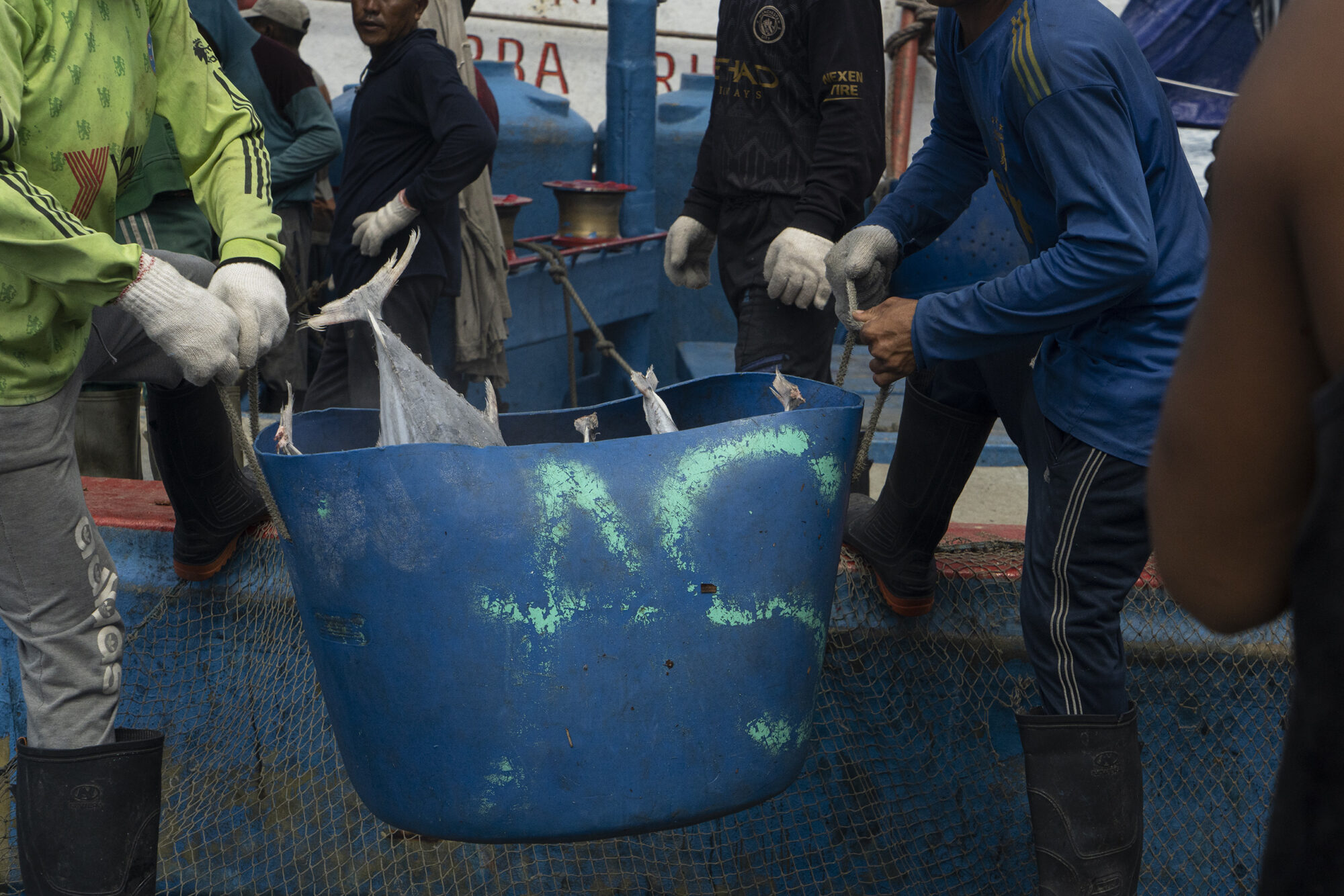 Workers on an industrial fishing vessel unload buckets of frozen skipjack tuna at the port of Benoa in Bali. Business licences are mandatory for vessels like this to operate in Indonesian waters