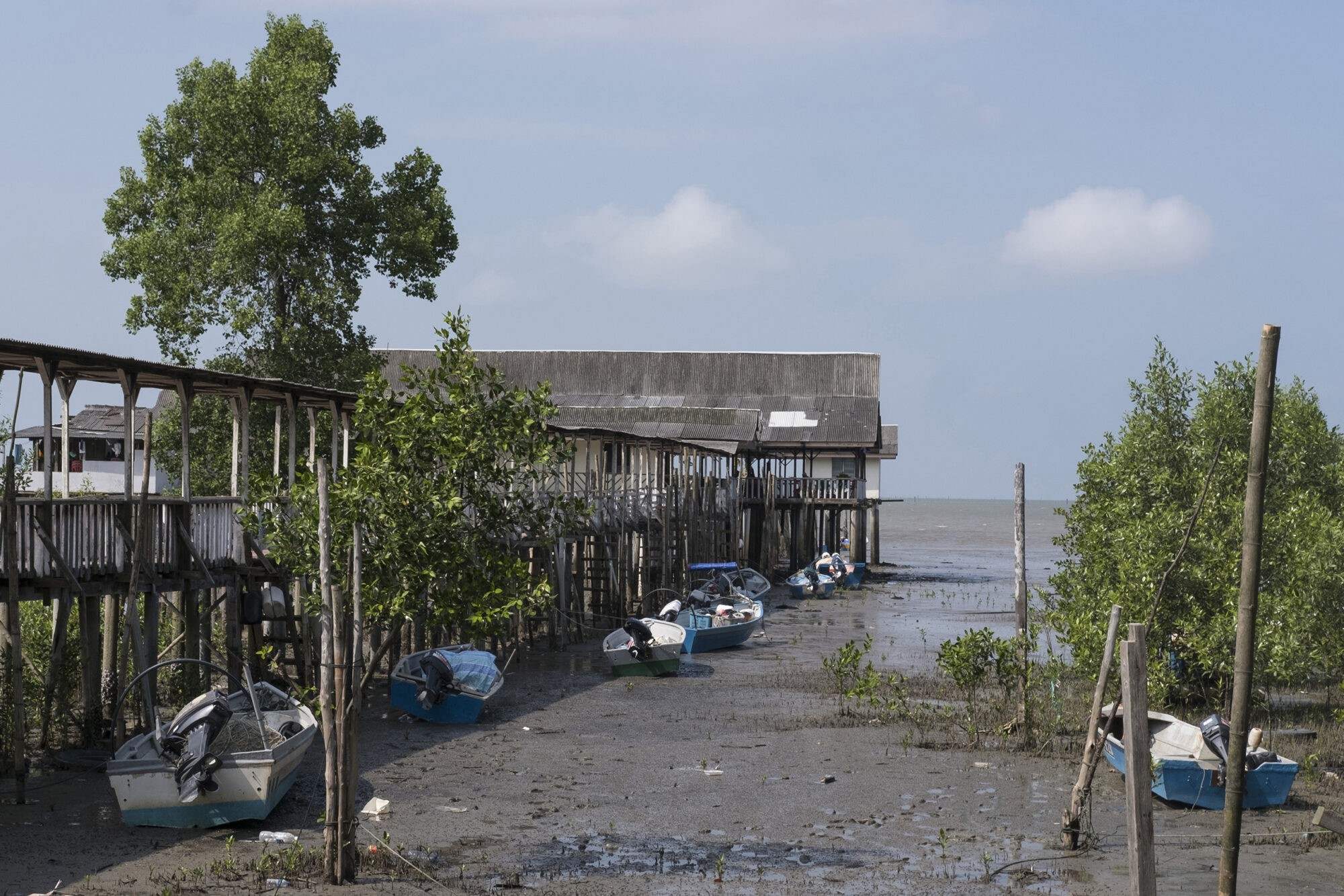 Fishermen’s boats are parked near a peer at low tide on the shore of the gulf surrounding Forest City.