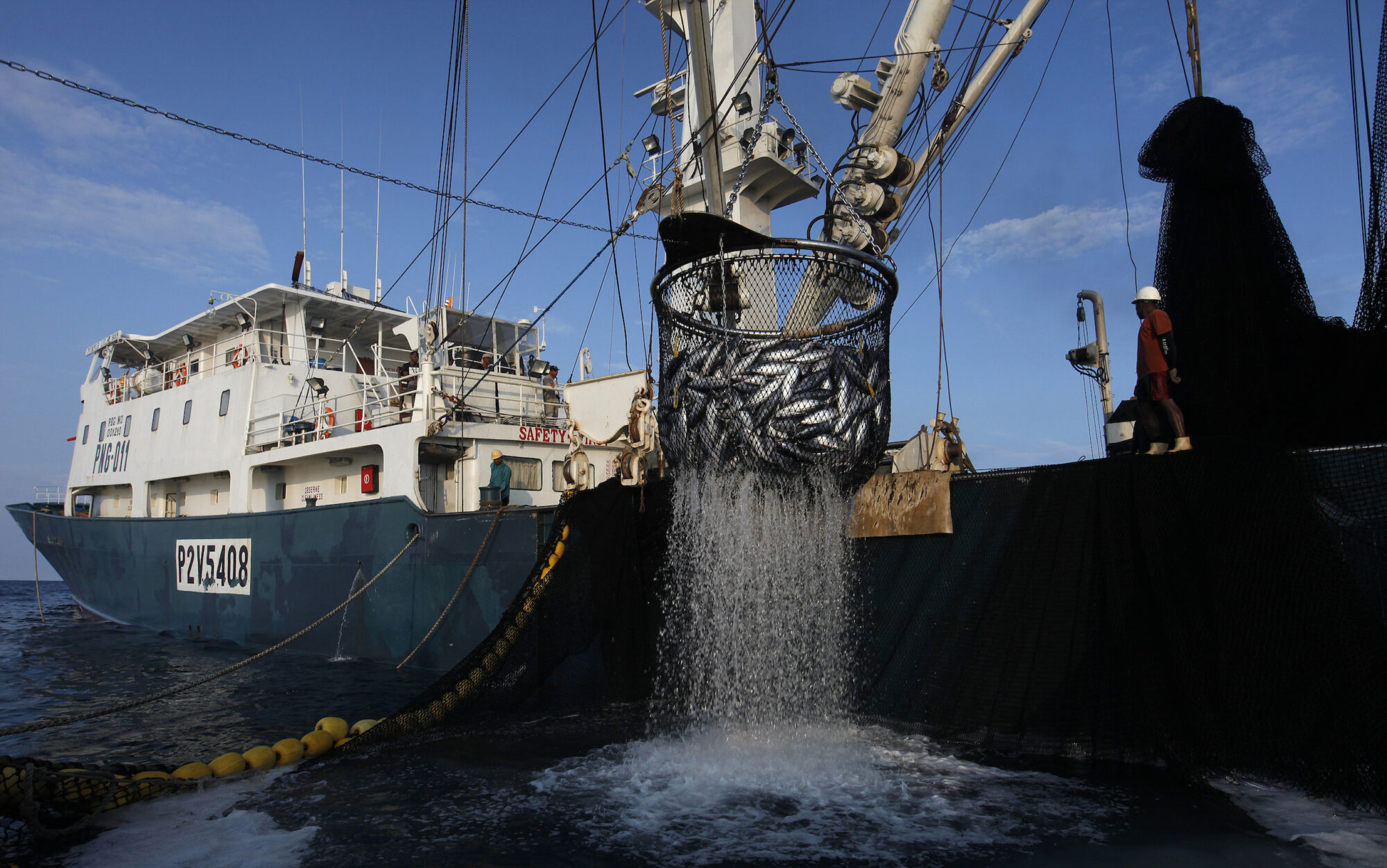 A scoop is used to haul tons of tuna onto the deck of the purse seine fishing boat 'Purple Lilac 888
