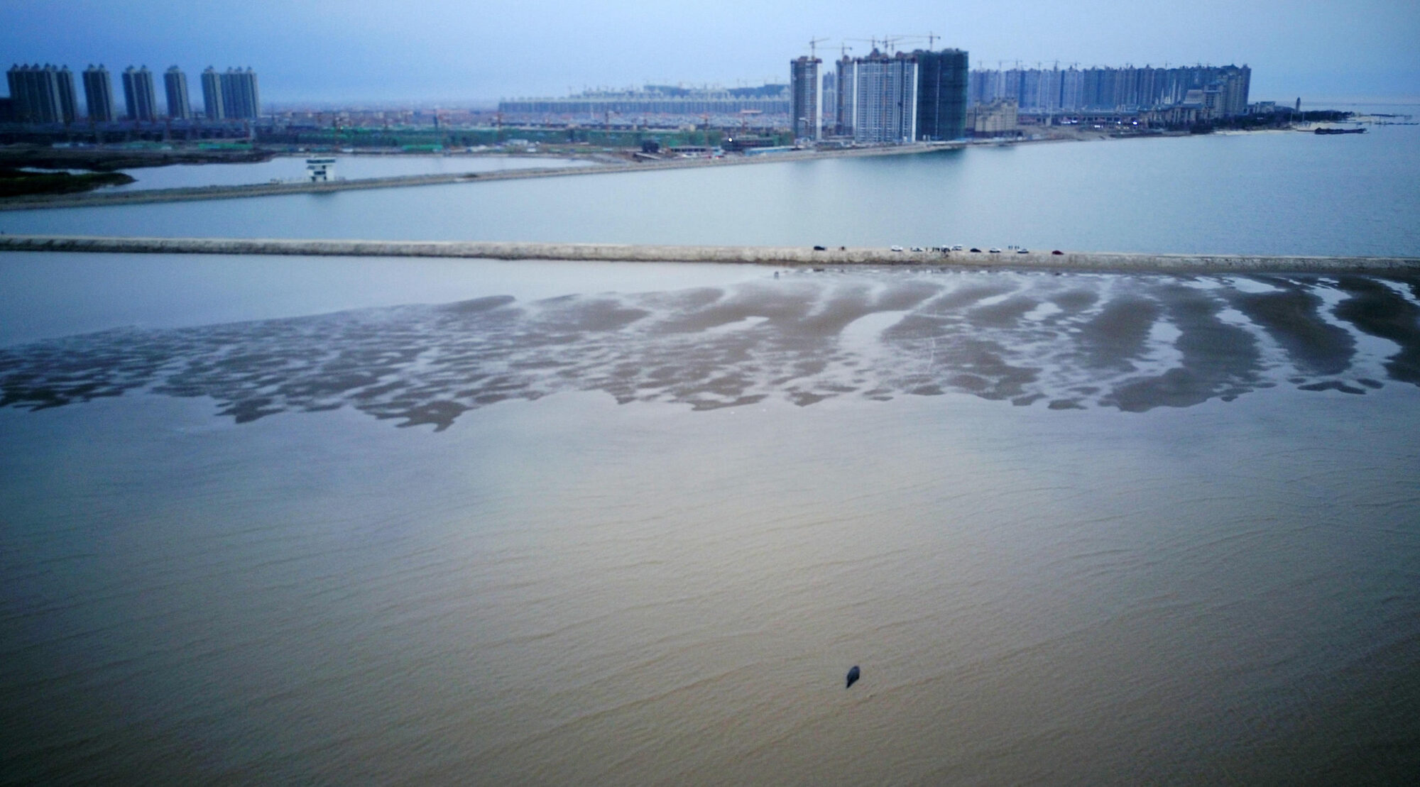Aerial view, a humpback whale stranded at Lianxing port, China