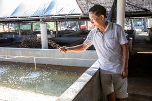 <p>Farming saltwater snails in Hainan. China’s aquaculture output is split 60:40 between saltwater and freshwater operations. (Image: Sun Nuo / China Dialogue Ocean)</p>