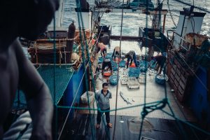 <p>一艘行驶在西非海域的远洋渔船，水手们在整理渔获物。图片来源 © Liu Yuyang/ Greenpeace</p>