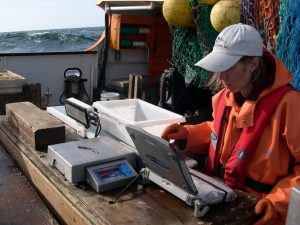<p>New technologies to monitor the seafood supply chain are producing large amounts of data, but how this data is managed and shared needs improving (Image: <a href="https://www.flickr.com/photos/noaaphotolib/5102539625/in/album-72157625252663972/">Victor Simon / NOAA</a>, <a href="https://creativecommons.org/licenses/by/2.0/">CC BY</a>)</p>